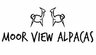 Moor View Alpacas / Valais Blacknose Sheep UK